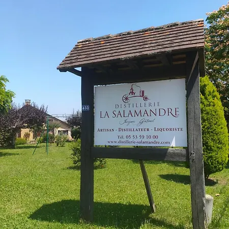 Villa La Salamandre Pool In And Montignac Sarlat-la-Caneda